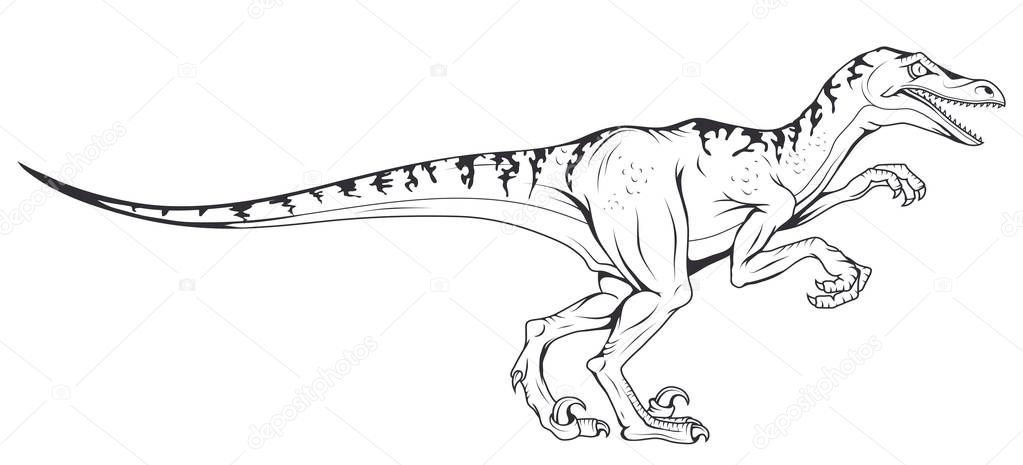 velociraptor vector dinosaur , vector graphic to design