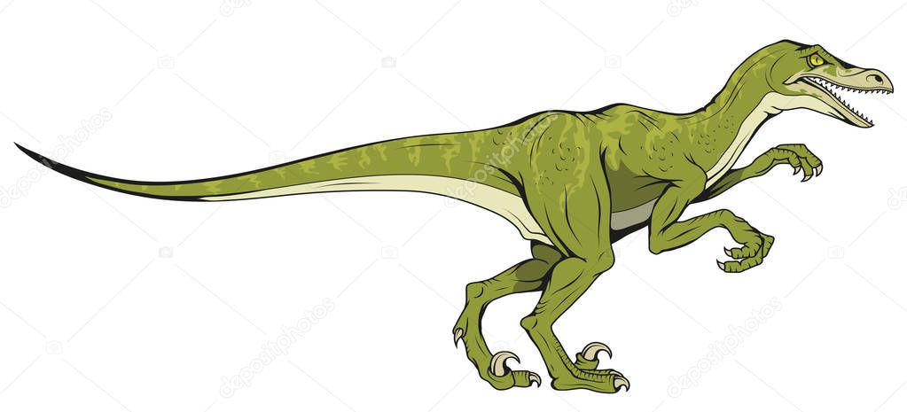 velociraptor hand drawn dinosaur , vector graphic to design