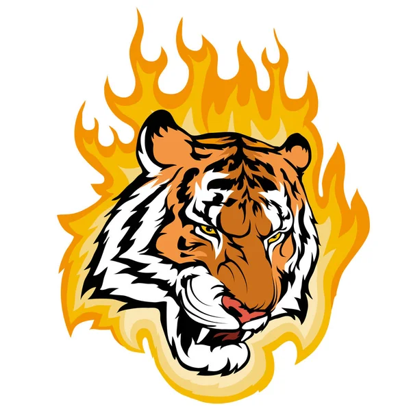 Tiger on fire, vector graphic to design — Stock Vector