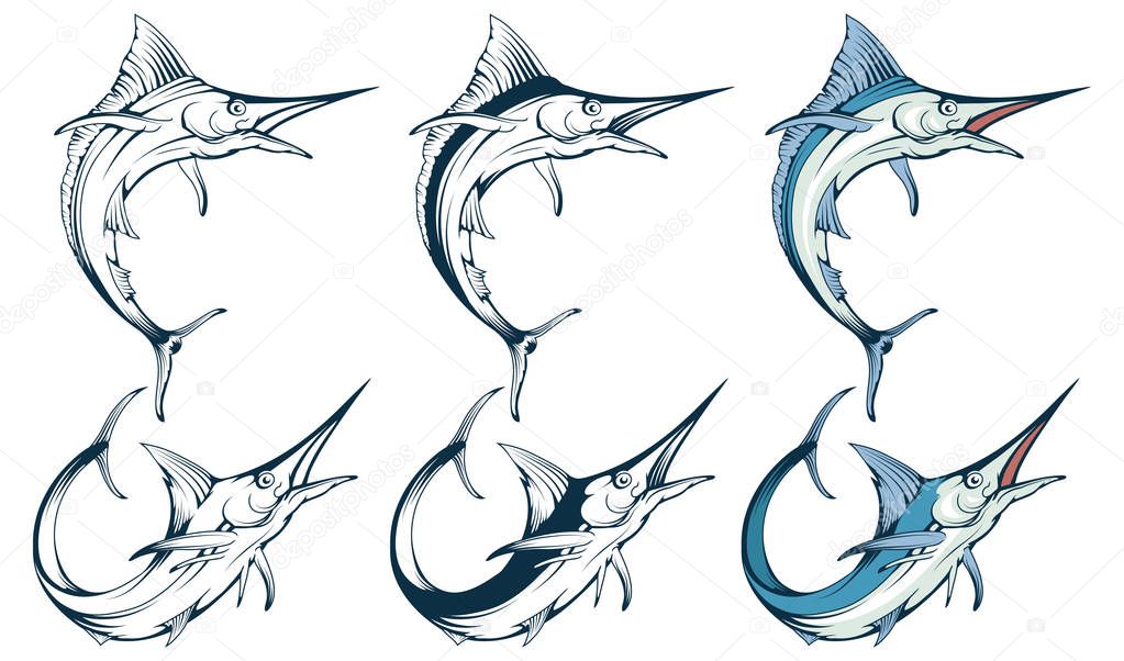 marlin fish set, vector graphic to design