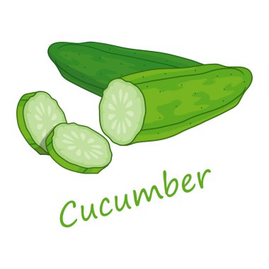 Salata -lık. Çiğ Salatalık Sebze. Taze Salatalık Sebze. Çiğ Gıda Diyet için Yeşil Sebze. Taze Doğal Vegan Ürün. Bitki Maması. Çiğ sebze. Sağlıklı Gıda. Tasarıma vektör grafikleri.