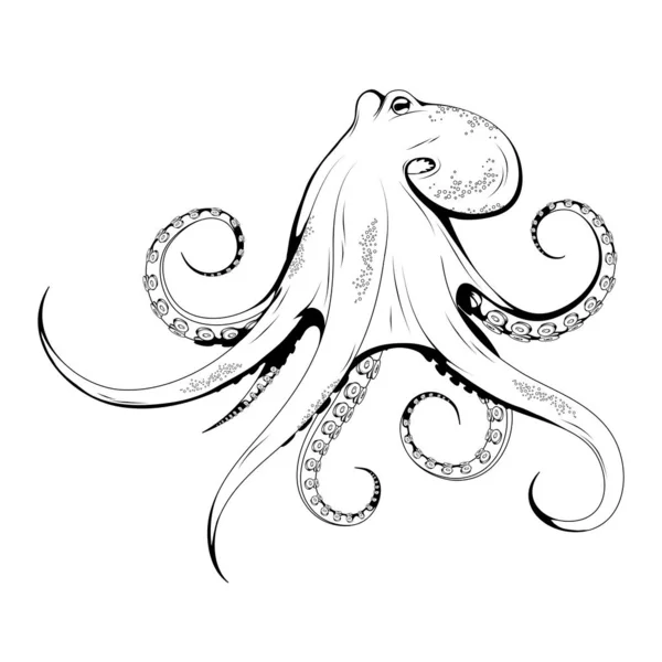 Hand getekende octopus. Zeevruchten. Octopus. Zeevis. lekkere zeevruchten. Oceaan sport vissen. Verse zeevruchten product. Heerlijke octopus. Vismeel dieet. Grote beste octopus. Visserij. Vector afbeeldingen om te ontwerpen. — Stockvector