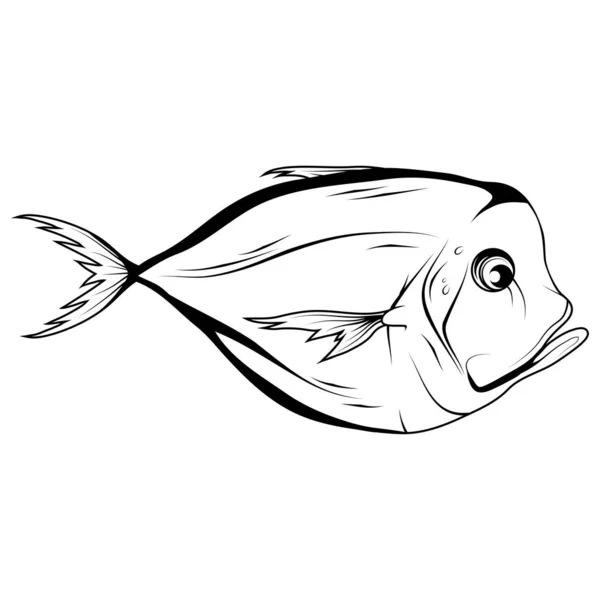 Hand getekende Atlantische moonfish (Selene setapinnis). Zeevruchten. Moonfish. Zeevis. lekkere zeevruchten. Oceaan sport vissen. Verse zeevruchten product. Vismeel dieet. Visserij. Vector afbeeldingen om te ontwerpen. — Stockvector