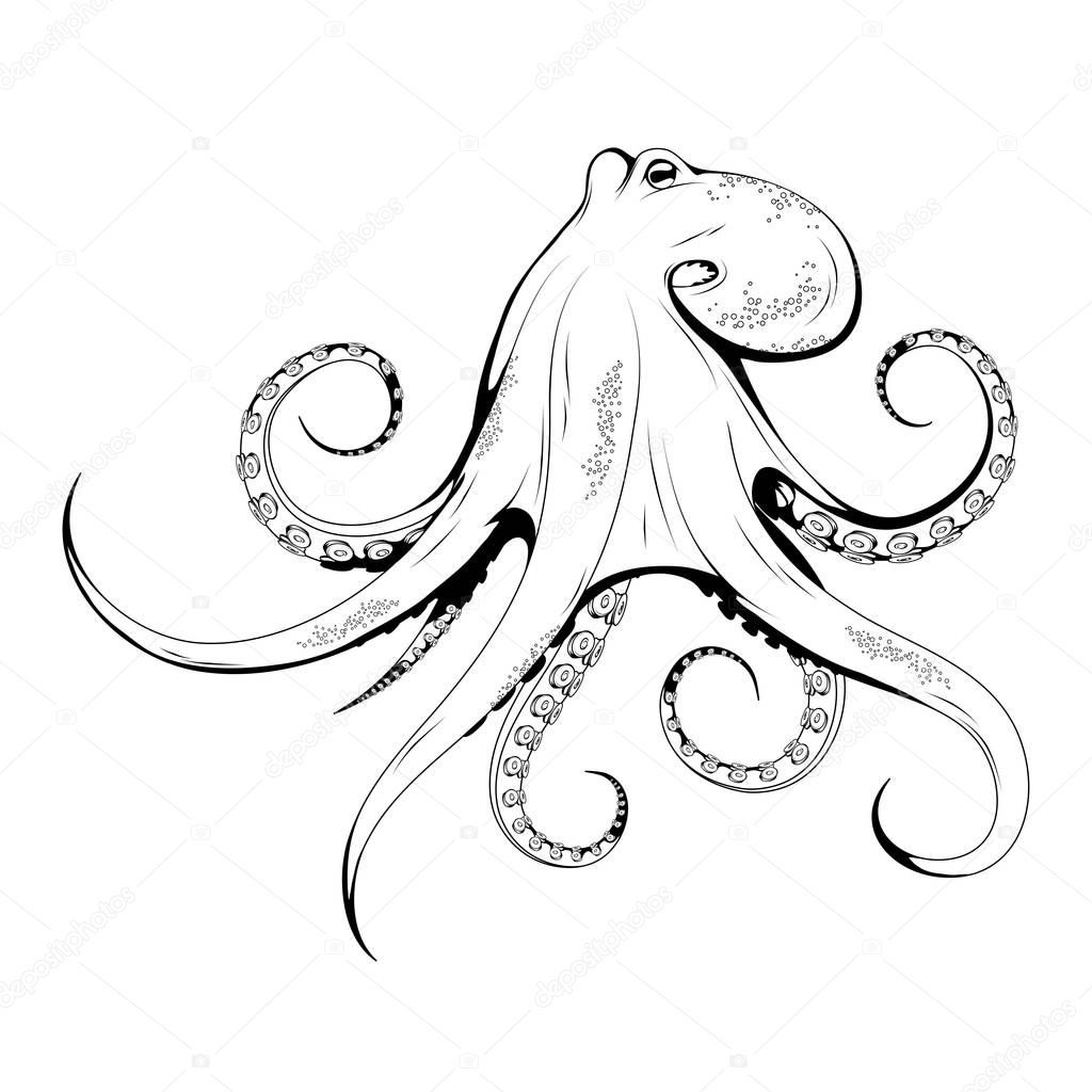 Hand Drawn Octopus. Sea Food. Octopus. Sea Fish.Tasty Seafood. Ocean Sport Fishing. Fresh Seafood Product. Delicious Octopus. Fish Meal Diet. Big Best Octopus. Fishing. Vector graphics to design.