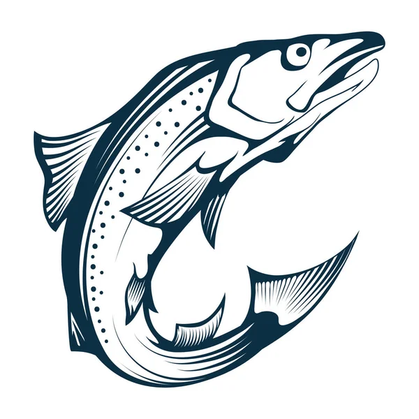 Salmón de pescado. Esbozo de salmón dibujado a mano sobre fondo blanco. Salmón Atlántico entero. Sea Fish. Salmón fresco entero de Alaska King. Pescado fresco noruego. Gráficos vectoriales para diseñar . — Vector de stock