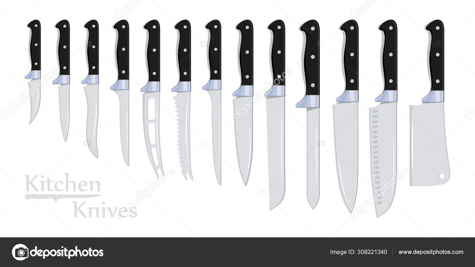 Different Types of Kitchen Knives. Cutlery Chef's: Meat Cleaver, Small  Bread, Carving, Banning, Paring, Steak, Bread. Collection of Kitchenware  Knives for various Purposes. Vector graphics to design. Stock Vector by  ©korniakovstock@gmail.com 308221340