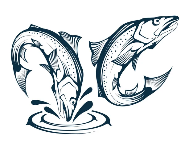 Saltando peixes de salmão. Ilustração de um salmão do Atlântico. Peixe saltador. O Rei Salmão do Alasca. Peixe-marinho. Gráficos vetoriais para projetar . — Vetor de Stock