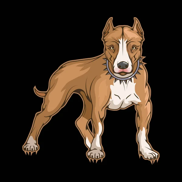 一只斗牛犬的例子 狗的纹身或T恤打印 美国斗牛犬畸形图为一个运动队 向量人物 吉祥物 标志或符号的素描 在黑色背景上刺公牛 — 图库矢量图片
