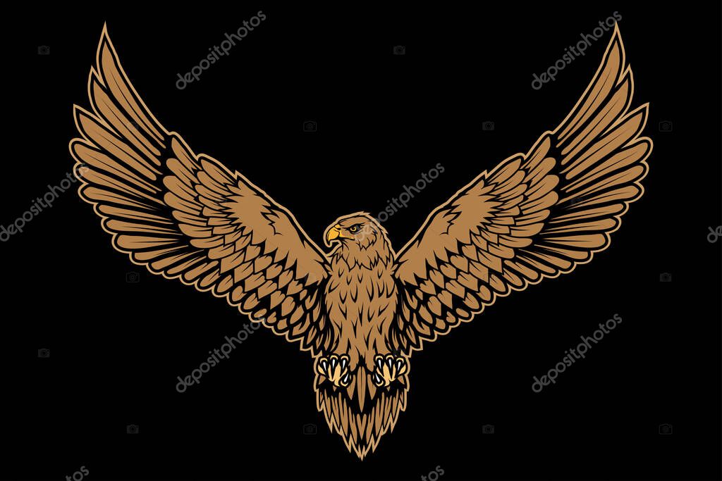 Vector illustration of a eagle. Wild animal for tattoo or t-shirt print. Bird illustration for a sport team. Vector character. Sketch for mascot, logo or symbol. Eagle on black background