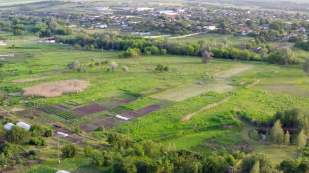 高いから風景農村風景 夏の晴れた日に美しい農地を飛行します 4Kウクライナの緑の田舎の空撮 — ストック動画