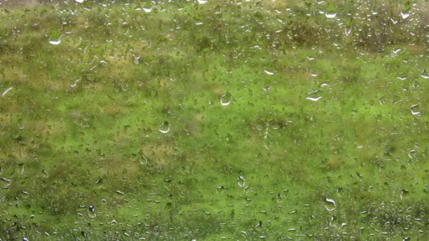 コップの上に水滴が落ちてくる 窓の外に大雨 雨の天気の背景 やり過ぎだ — ストック動画