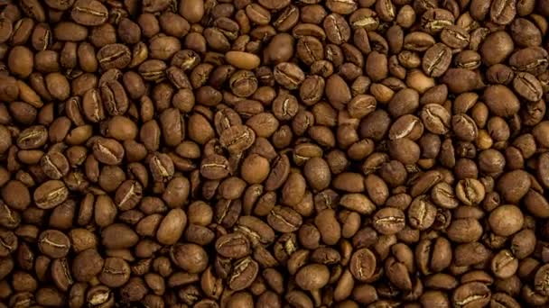 Close Zoom Rotating Roasted Dark Coffee Beans Gerakan Halus Dari — Stok Video