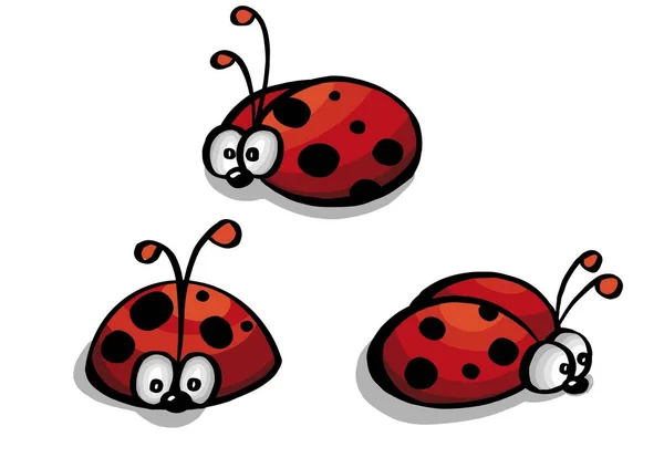 Set of red ladybug isolated on white. illustration — Stock Photo, Image