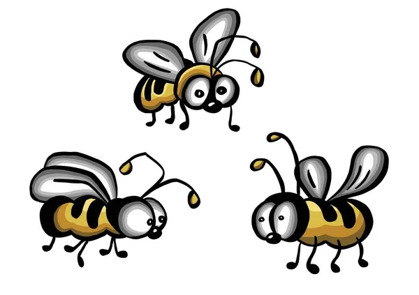 Ilustração de mel abelha no fundo branco — Vetor de Stock