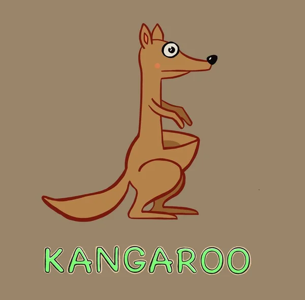 Illustration de kangourou isolée. Animal australien — Image vectorielle