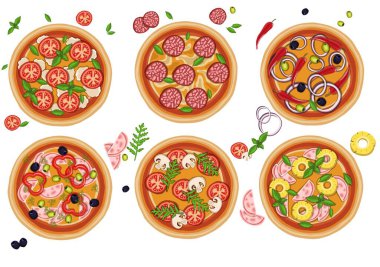 Çeşitli dolgulu pizza seti. resimleme