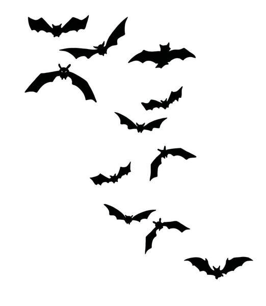 Шокирующая группа чёрных летучих мышей изолировала Хэллоуин 
