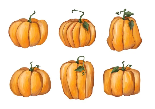 Calabazas de Halloween. Aislado sobre fondo blanco. — Foto de Stock