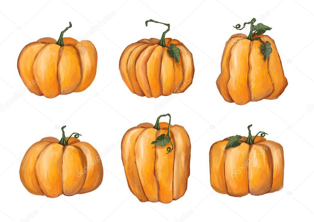 halloween pumpkins. Isolated on white background.