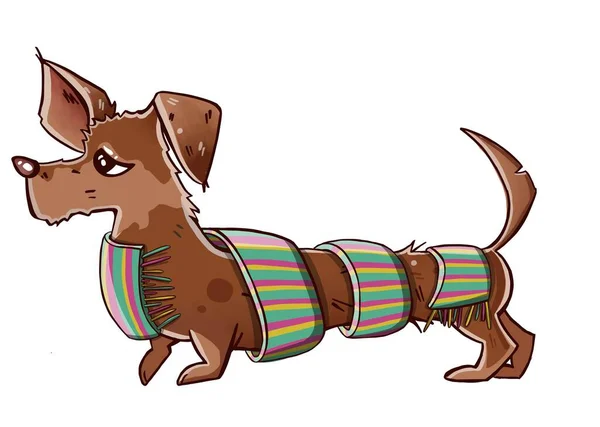 Funny dachshund in a scarf. Hand-drawn. — Stock Photo, Image