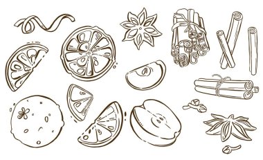 Noel baharatları, yıldız anason. Vektör illüstrasyonu