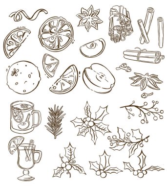 Elma ve yaban mersini. Meyve, baharat ve şenlikli dekorlardan oluşan suluboya Noel seti. Davetiyeler, duyurular ve tebrik kartları için tasarım öğeleri. Yüksek kaliteli illüstrasyon