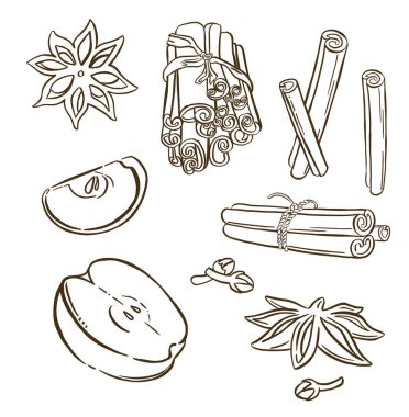 Noel baharatları, yıldız anason. Vektör illüstrasyonu