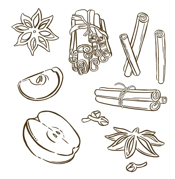 Noel baharatları, yıldız anason. Vektör illüstrasyonu