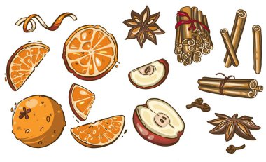 Noel baharatları, yıldız anason, elma. Yüksek kaliteli illüstrasyon