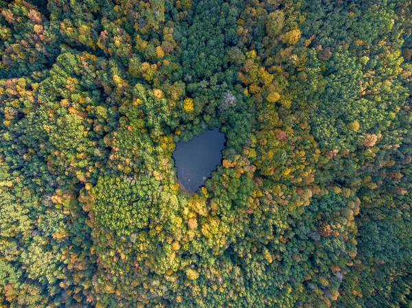 Vue Aérienne Étang Forêt Sauvage Dark Lake Région Krasnodar Russie — Photo