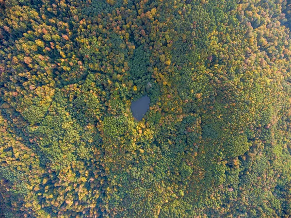 Vista Aérea Lago Del Bosque Salvaje Rusia Cáucaso —  Fotos de Stock
