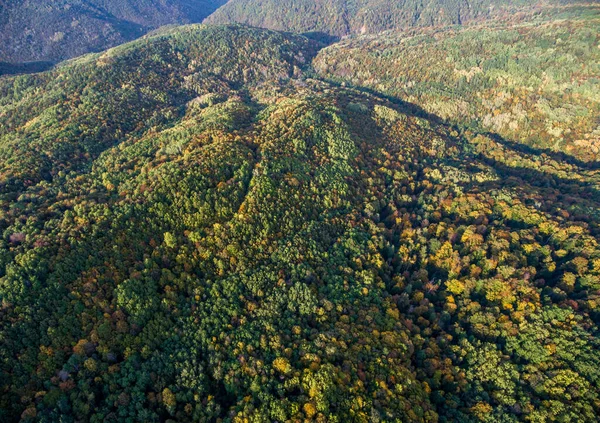 Vista Aérea Paisaje Valle Montaña Con Bosque Otoño —  Fotos de Stock