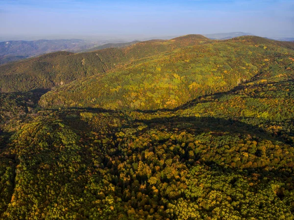 Luchtfoto Landschap Van Het Bergdal Met Herfstbos — Stockfoto