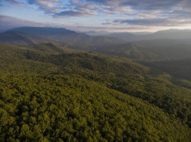  Dağ ormanı ve bulutlu dramatik gökyüzü. Kafkaslar.
