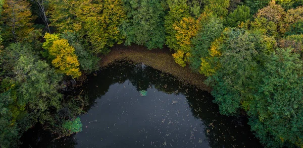 Aerial View Dark Lake Shadow Hornbeam Trees — Stock Photo, Image