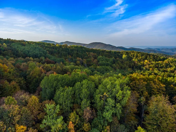 Aerial Photo Autumn Scenery Mountain Forest — Stock Photo, Image