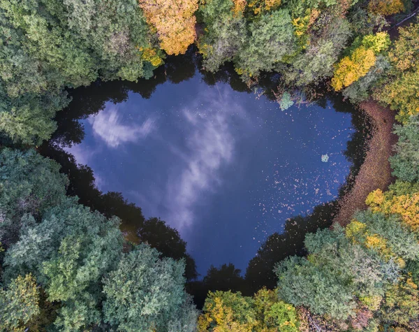 Vista Superior Aérea Perspectiva Otoño Bosque Salvaje Lago —  Fotos de Stock