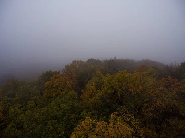 Vista Aérea Niebla Matutina Sobre Bosque Vista Superior Los Árboles —  Fotos de Stock