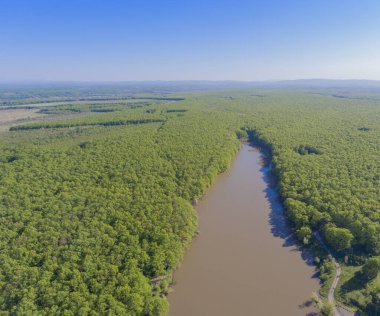 Drone fotoğrafı. Çamurlu göl ve ormanın hava manzarası..