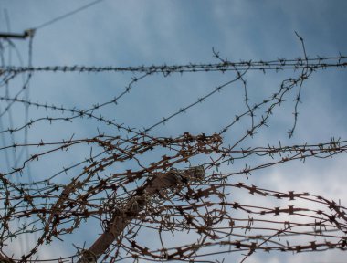 Paslı dikenli tellerin birbirine dolanması. Seçici odak.