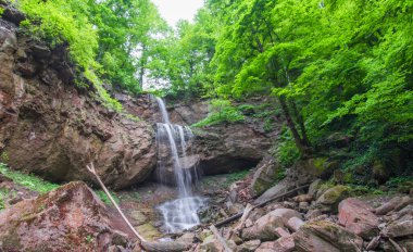 Orman manzarası. Şelalenin dibindeki vahşi doğa. Seçici odak.