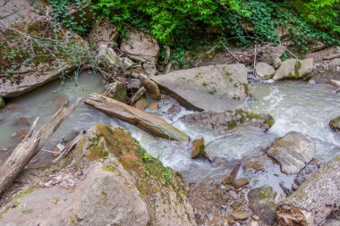 Bir dağ nehrinin nehir yatağındaki taşlar ve sopalar. Seçici odak.