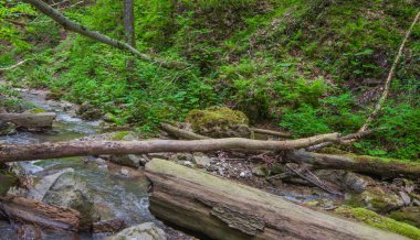 Büyük kayalar ve devrilen ağaçlar arasındaki dağ akıntısı. Seçici odak.