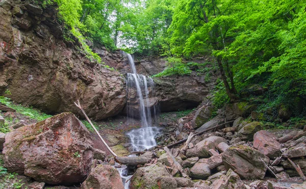 Wildernis Aan Voet Van Waterval — Stockfoto