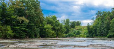 Kırsal alan. Dramatik bir gökyüzünün altında sığ bir nehrin yanındaki ağaçlar ve uzaktaki bir su birikintisinde bir inek..