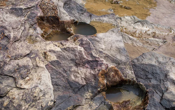 Superficie Piedra Húmeda Costera Con Agujeros — Foto de Stock