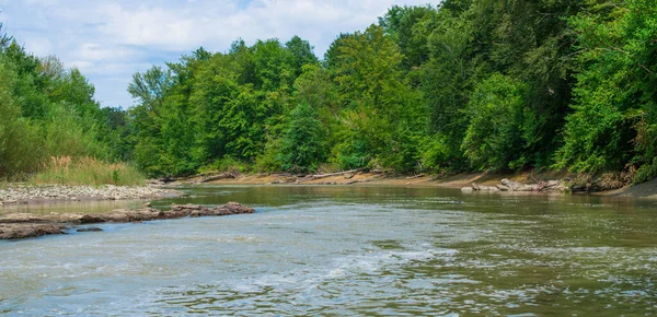 Doğa manzarası. Nehrin kıyısında.