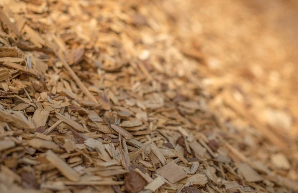 Slope Pile Industrial Wood Chips Selective Focus — Stock Photo, Image