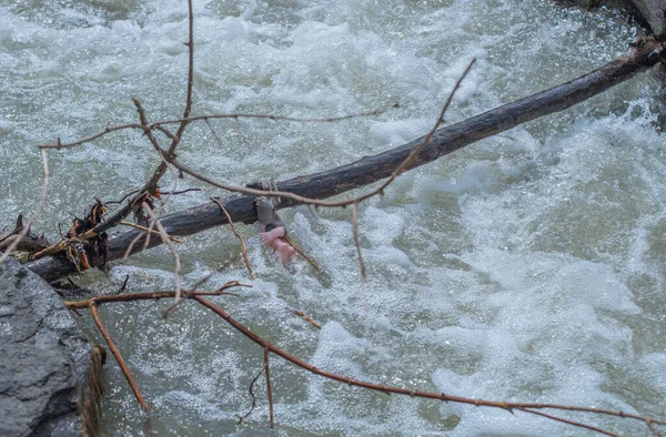 Poupée Vintage Prise Dans Branche Dans Débit Rapide Rivière — Photo