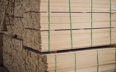 Kurusıkı kurdeleyle bağlanmış. Seçici odak.